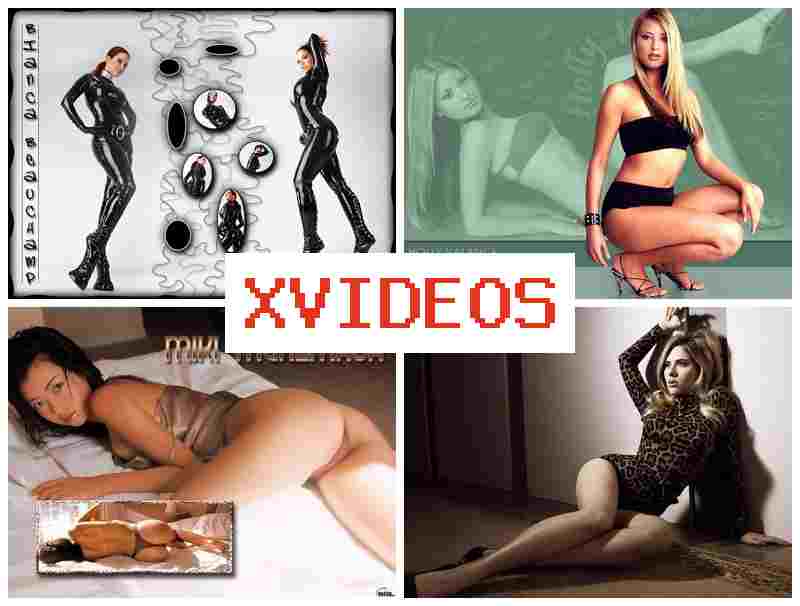 X VIDEOS 🔵 Asia Sex XXX