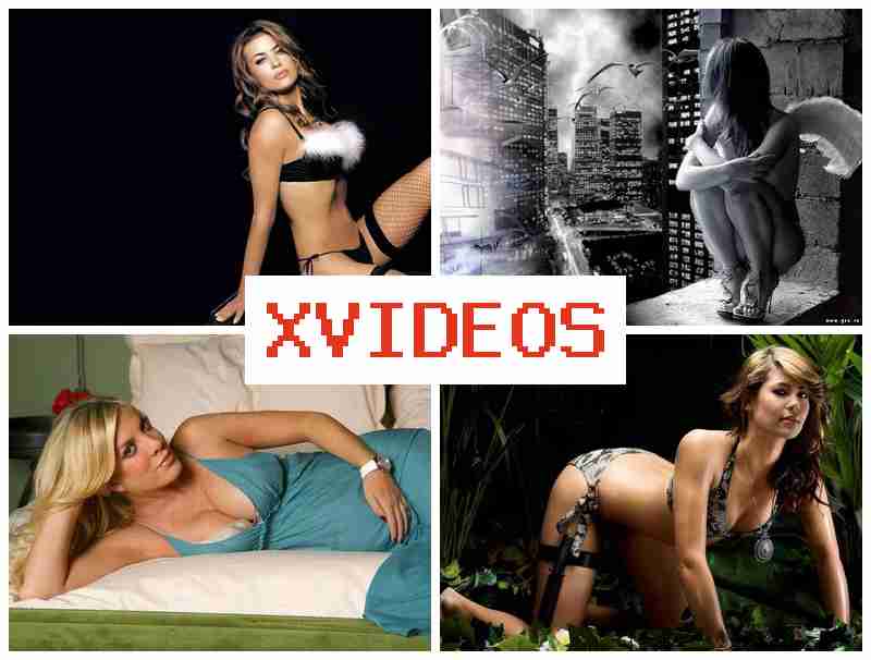 ZVIDEOS 🔺 Dream Ass Sex